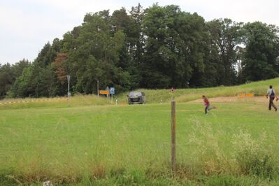 IMG_420628Mittel29.JPG