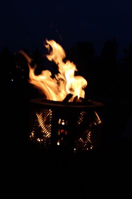 IMG_424328Mittel29.JPG