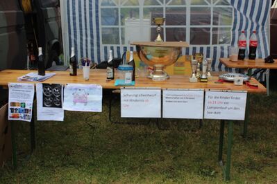 IMG_447628Mittel29.JPG