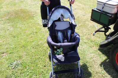 IMG_450028Mittel29.JPG