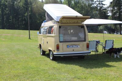 IMG_461828Mittel29.JPG
