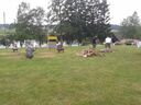 20150613_11552628Mittel29.jpg