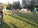 20150613_20295628Mittel29.jpg
