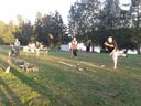 20150613_20495228Mittel29.jpg