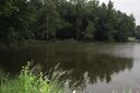 IMG_416028Mittel29.JPG