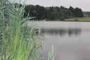 IMG_416228Mittel29.JPG