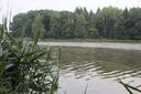 IMG_416528Mittel29.JPG