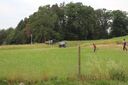 IMG_420628Mittel29.JPG