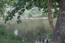 IMG_421828Mittel29.JPG