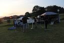 IMG_427228Mittel29.JPG