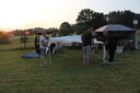 IMG_427328Mittel29.JPG