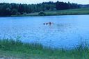IMG_433828Mittel29.JPG