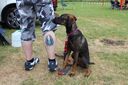 IMG_444628Mittel29.JPG