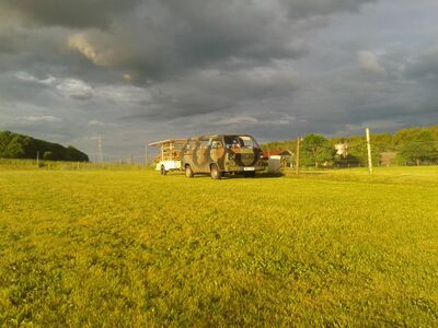 20160531_20081828Gross29.jpg
