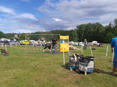 20160604_17023928Gross29.jpg