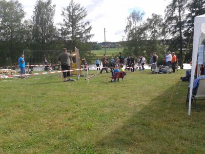 20160604_17095128Gross29.jpg