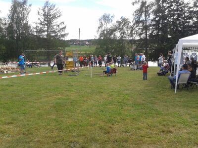 20160604_17232828Gross29.jpg