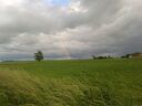 20160530_19472828Gross29.jpg