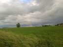 20160530_19473128Gross29.jpg