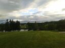 20160530_20132028Gross29.jpg
