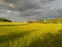 20160531_20083828Gross29.jpg