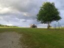 20160531_20092728Gross29.jpg