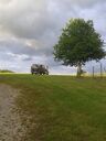 20160531_20093128Gross29.jpg