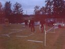 20160602_21380728Gross29.jpg