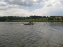20160605_14272528Gross29.jpg