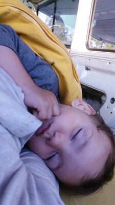 20170624_06075628Mittel29.jpg