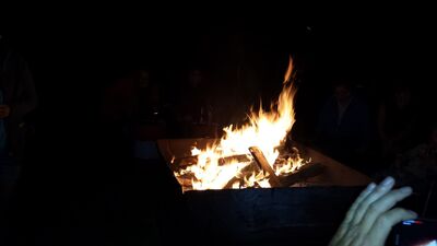 20170625_00332428Mittel29.jpg