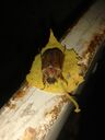 20170625_212119_28Mittel29.jpg