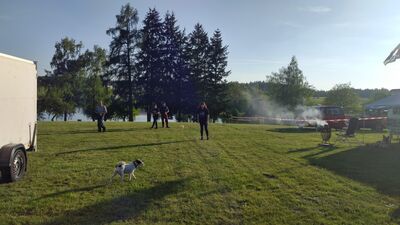 IMG_20190523_19215228Gross29.jpg