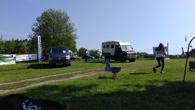 IMG_20190525_10064728Gross29.jpg