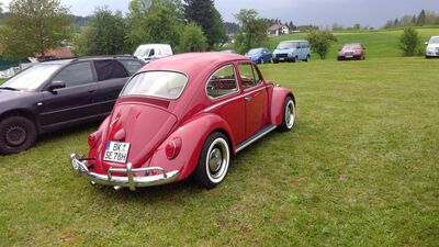IMG_20190525_15242128Gross29.jpg