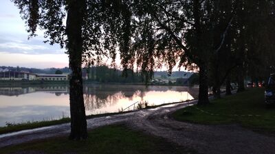 IMG_20190525_21170528Gross29.jpg