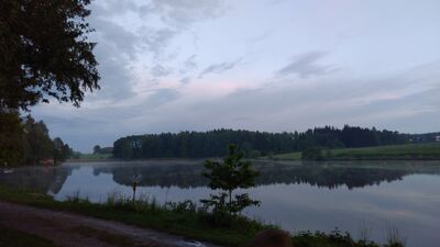 IMG_20190525_21173528Gross29.jpg
