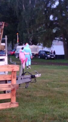 IMG_20190525_21220228Gross29.jpg