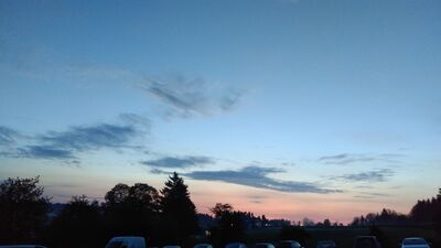 IMG_20190525_21390028Gross29.jpg