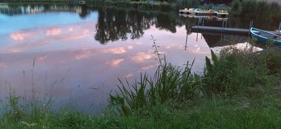 20200619_212049.jpg