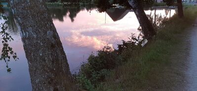 20200619_212159.jpg