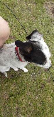 20200620_130412.jpg