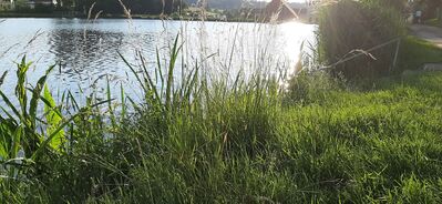 20200620_195008.jpg