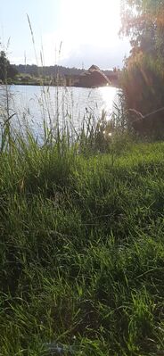 20200620_195022.jpg