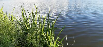 20200620_195059.jpg