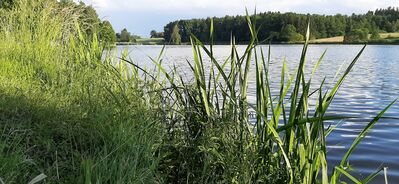 20200620_195113.jpg