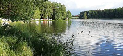 20200620_195252.jpg