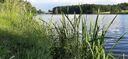20200620_195113.jpg