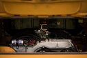 20210702-_AWM252328Mittel29.jpg